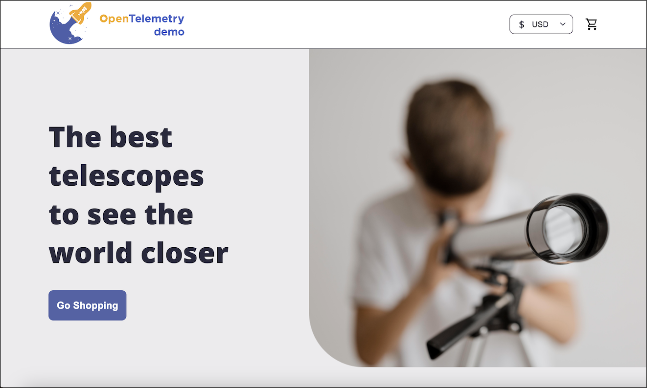 Website